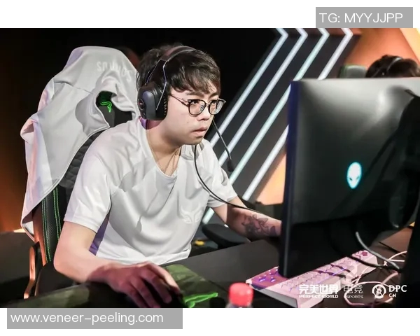 dota2所有比赛-DOTA2热血赛场—比赛综述与展望-dota2所有比赛