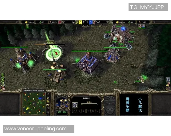 沈阳魔兽争霸比赛-热血激荡！沈阳魔兽争霸比赛的璀璨瞬间-沈阳魔兽争霸比赛