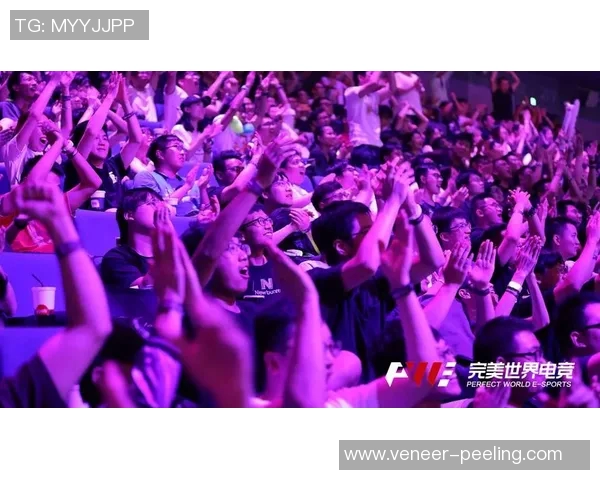 dota消极比赛视频-浅谈关于dota消极比赛视频的视角与挑战-dota消极比赛视频