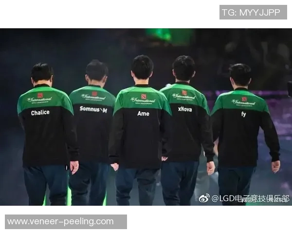 data2ti8比赛-Data2Ti8比赛，数据的盛宴与电竞的巅峰之战-data2ti8比赛