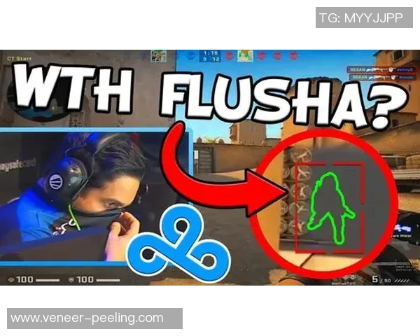 flusha比赛开挂-关于Flusha比赛开挂现象的探讨-flusha比赛开挂